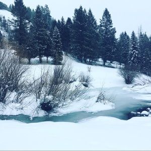 Meet your Posher, Debra